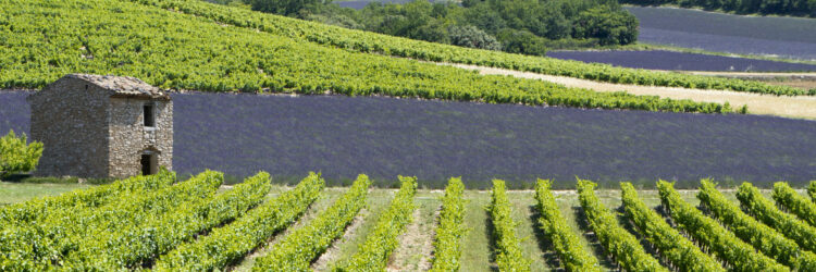 GRIGNAN-ADHEMAR Ctes du Rhne