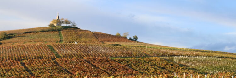 T.Blanchier – Beaujolais Tourisme (15)