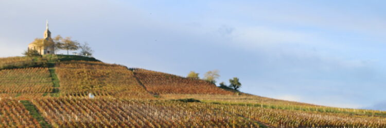 T.Blanchier – Beaujolais Tourisme (15)