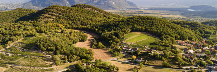 vignobles du bugey
