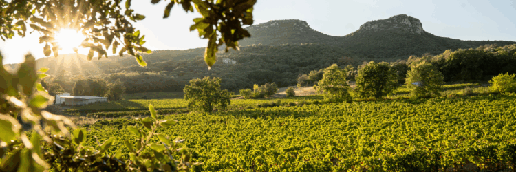 2025-V&D-Banniere-Destination-1394×512