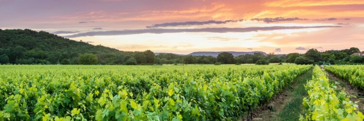 Capture d’écran 2025-11-03 153015