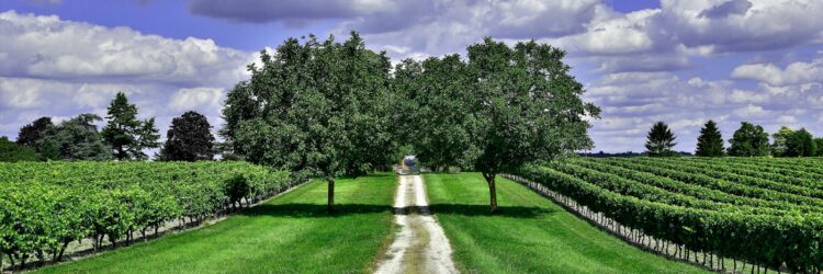 Capture d’écran 2025-11-03 164035