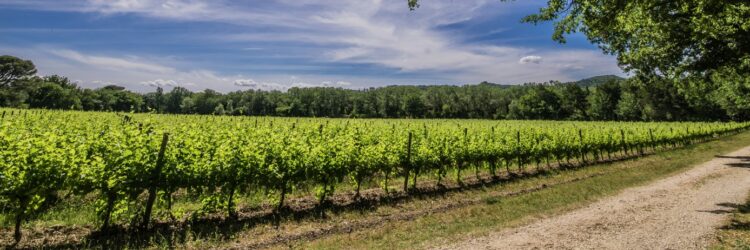 Capture d’écran 2025-11-07 102643