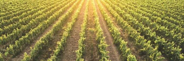 Capture d’écran 2025-11-07 103755