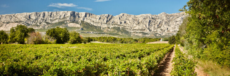 Vignerons de la Sainte Victoire