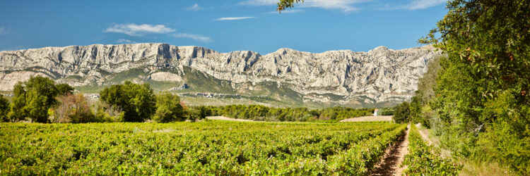 Vignerons de la Sainte Victoire