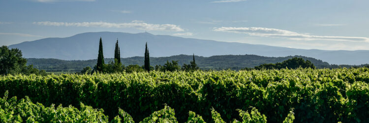 ©emmanuelperrin_DSC1069copie