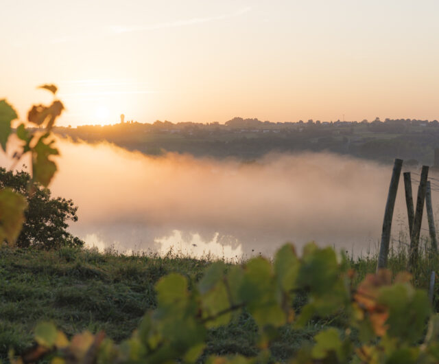 JEHANIN Jérémy – LeCellier-Findedroits2028