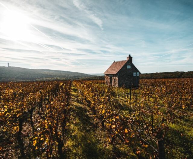 Miniature SPG 2 Crédit Photos Ad2T