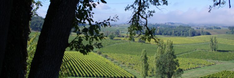 Vignoble_Bergerac_ADT_01