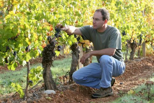 rians_chateau-vignelaure_p10_grd