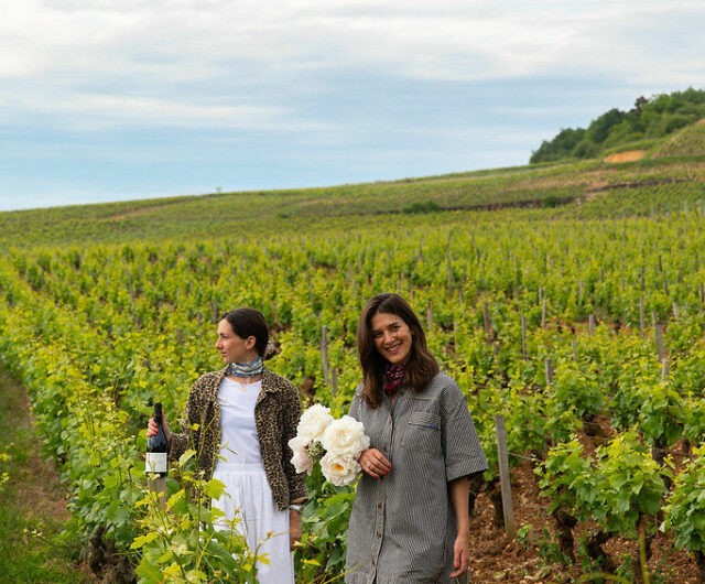 Bellevigne_Hôtel_Vigne&ViedeVillage_@CagnardStudio_18