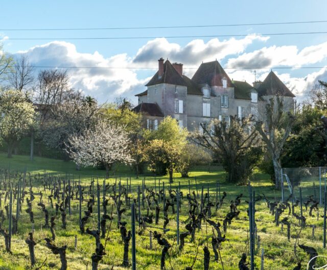 Le Brunch des Vendanges au château de Chelivette