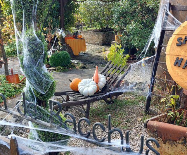 Sparkling_Hallowine©domainebrigand
