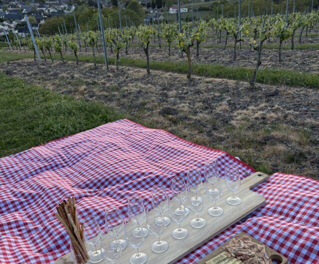 Vignobles en Scène – Domaine de Pied Flond