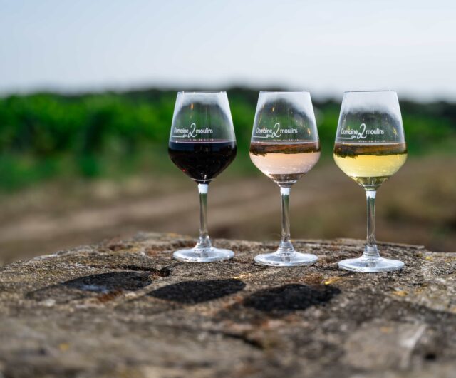 Vignobles en Scène – Domaine des Deux Moulins – gustative