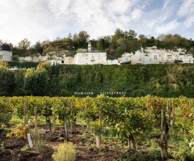 Vignobles en Scène – La Grande Vignolle