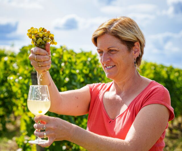 Vignobles sn Scène – Domaine de Nerleux Jus Noveaux
