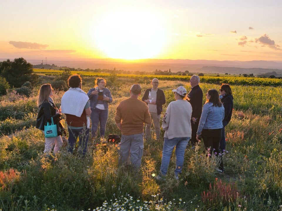 dégustation au coucher de soleil @domaine de soustres