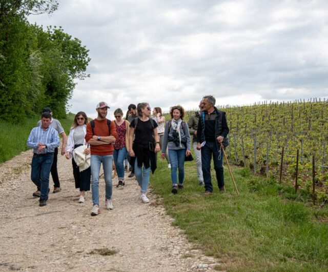 14. rando binon coquard spoy ©Studio Monteclair