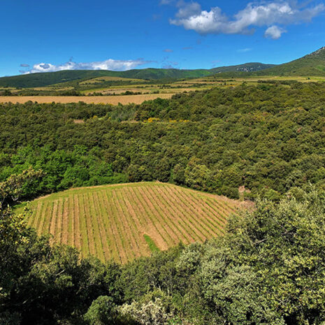 @domaine du météore