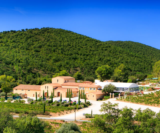 Chateau Pas du Cerf Haute Def