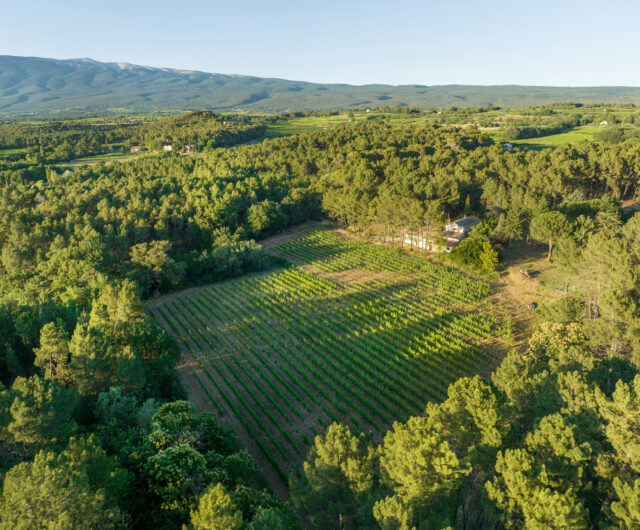 DJI_0840 – Domaine Childéric