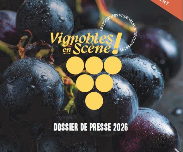 DP 2026 VES