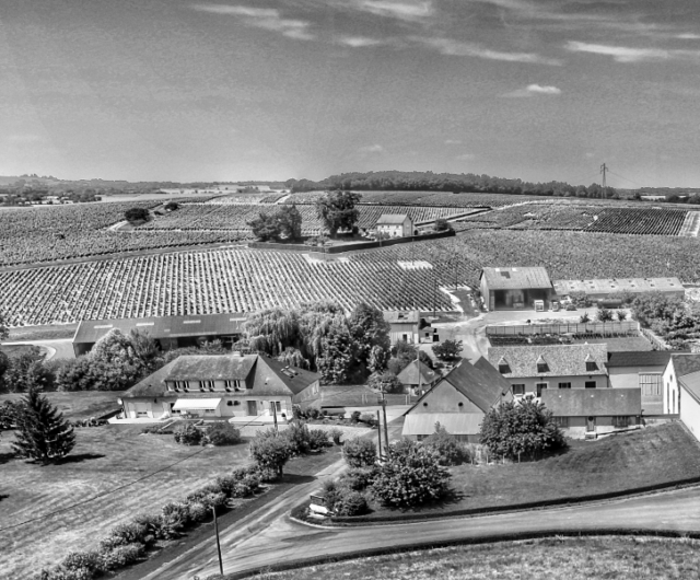 Domaine Chézattebis