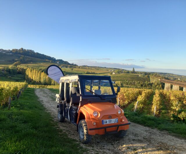 Eco-circuit golfette sancerrois_Domaine Eric Louis