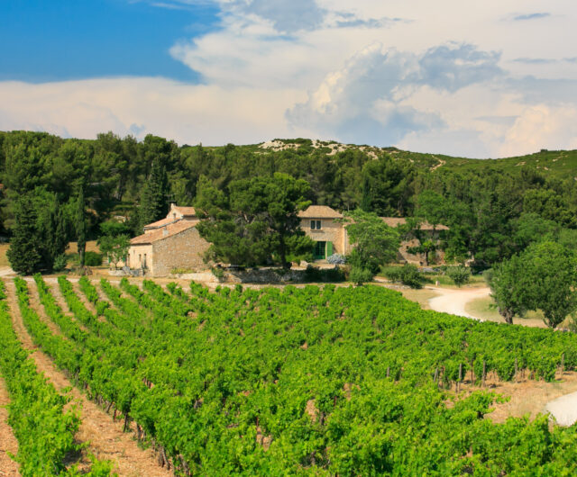 Mas de Gourgonnier-002