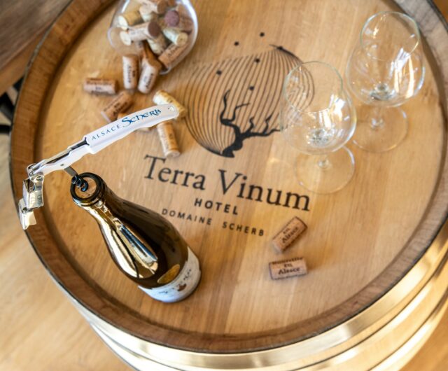 Terra vinum