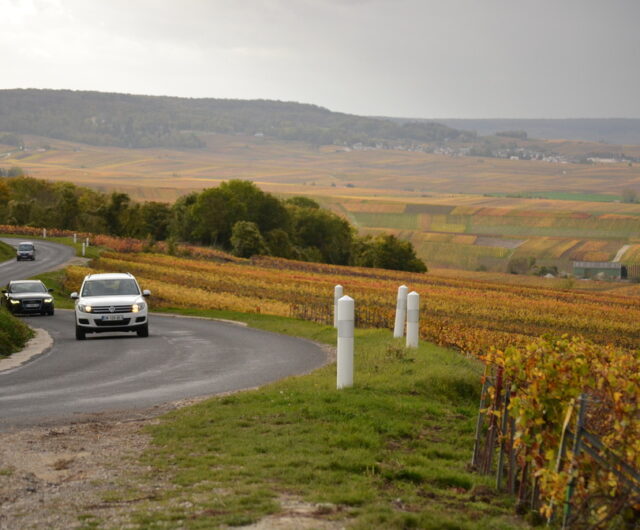 Verzenay – Automne©E. Vidal7_1008x672