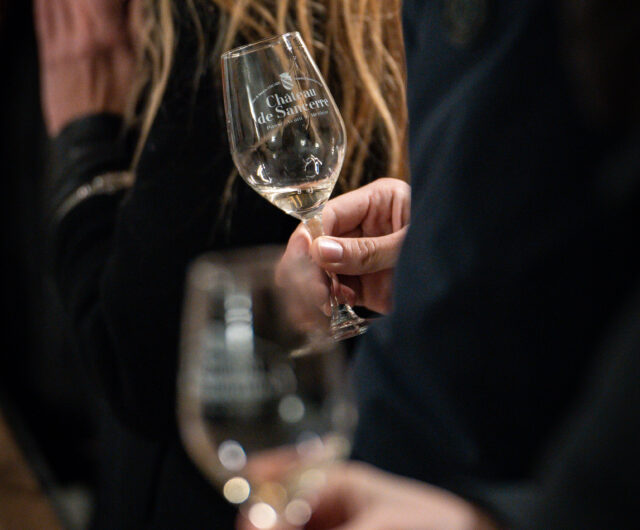 Visite_Chateau_de_Sancerre Dana Tentea (3)