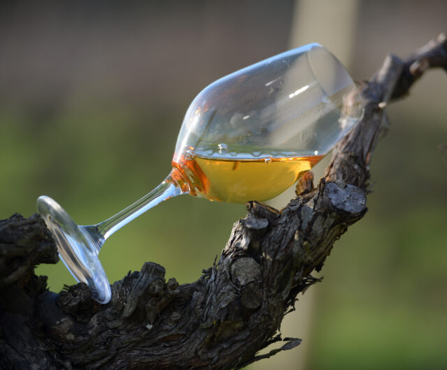 VINS