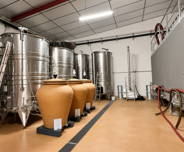 visite du chai de biodynamie – Terra Ventoux