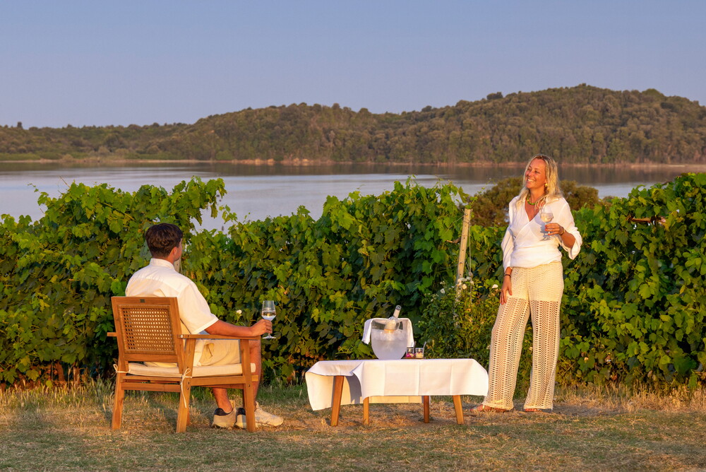 APERITIF DANS LES VIGNES
