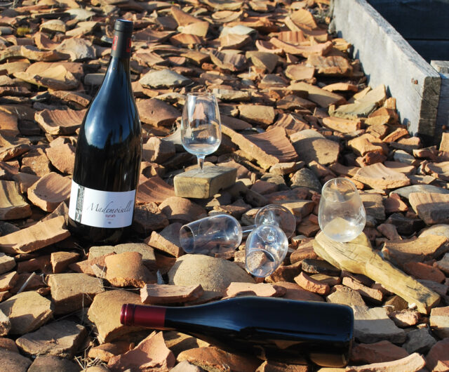 Balade archeo-vigneronne Corent(c) M. Arribart