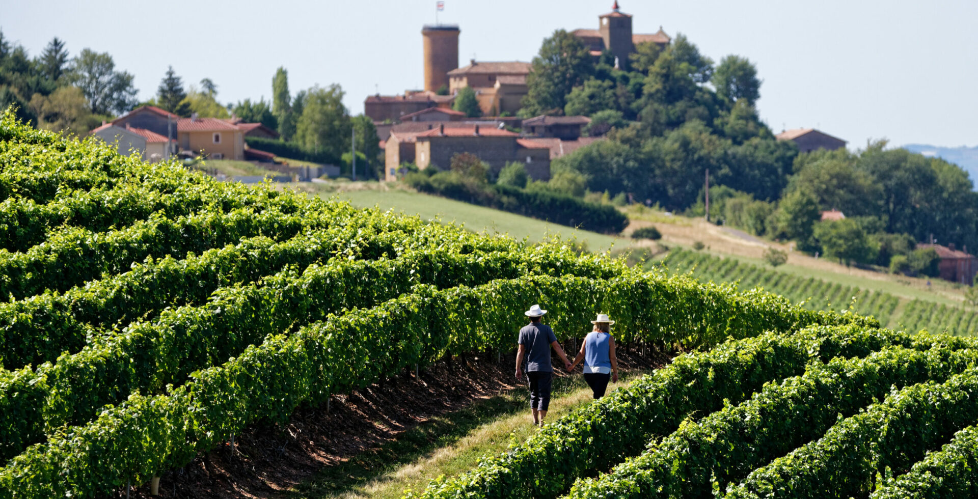Beaujolais @P.Muradian