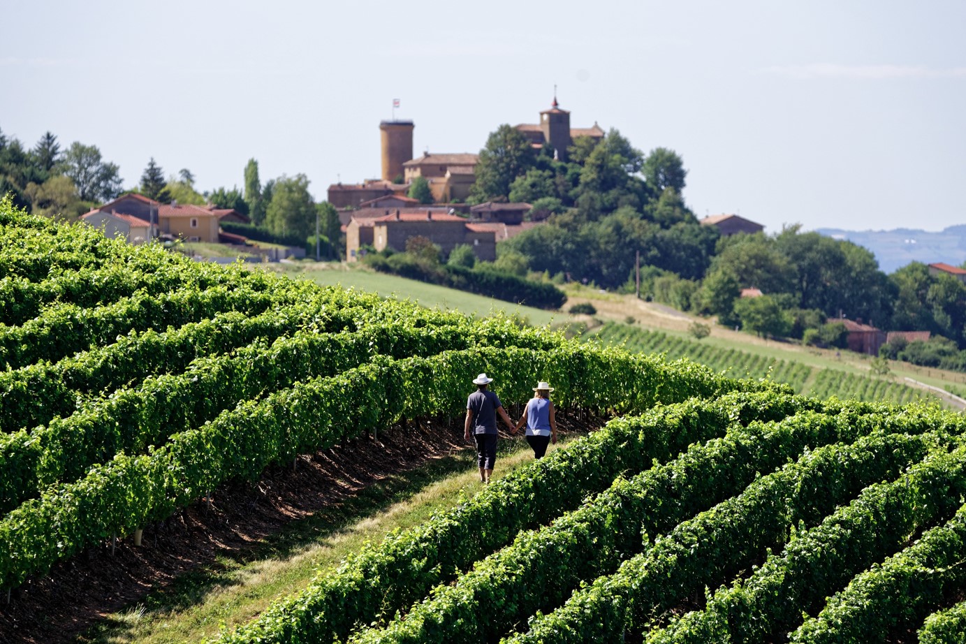 Beaujolais @P.Muradian