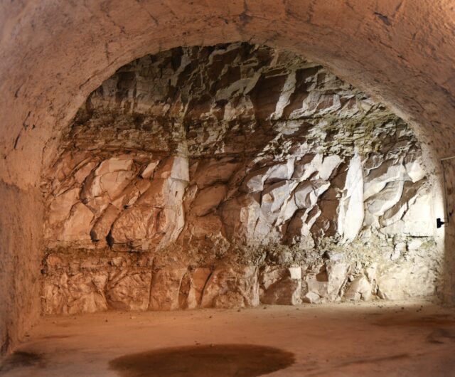 MCL_7077_Savaron_fond de cave_réduite