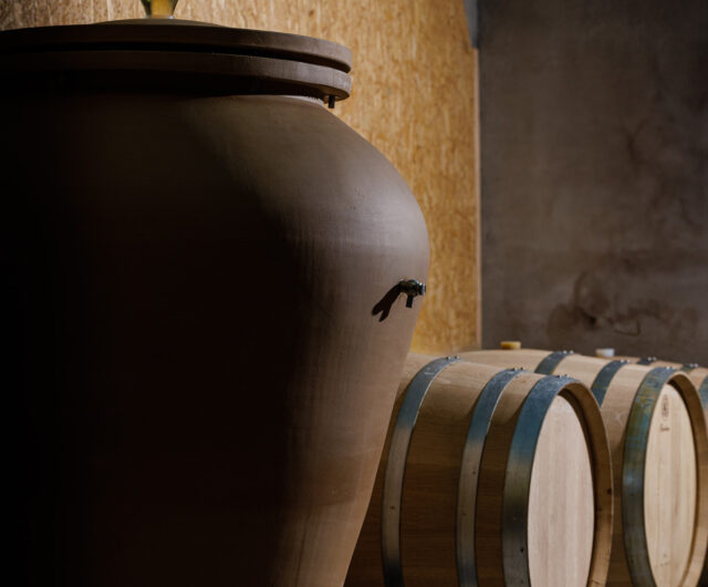 ambiances-chaivignoble-musset-roullier-la-pommeraye-mauges-sur-loire-Ronan-Rocher