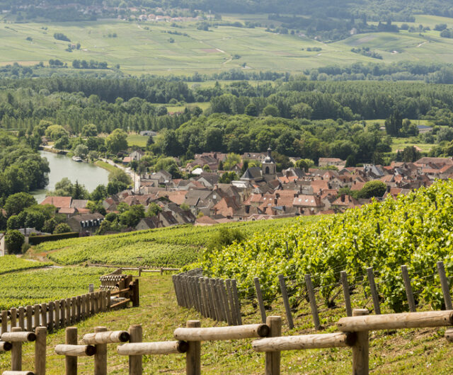 Cumieres Marne Champagne