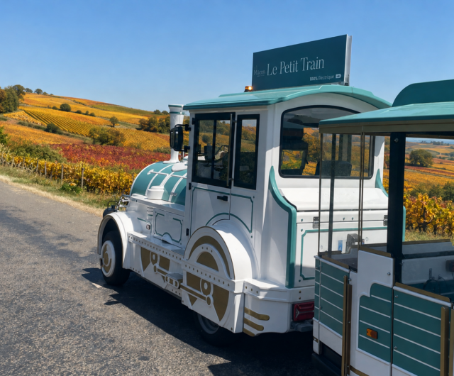 train-des-vignes-louis-mickael-grall-macon-sud-bourgogne