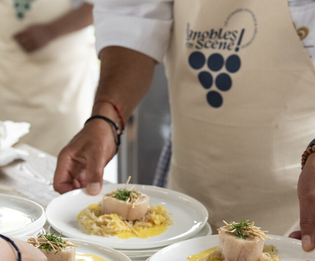 ©corinnejamet_vignobles en scene_7juill2025_014 (1)