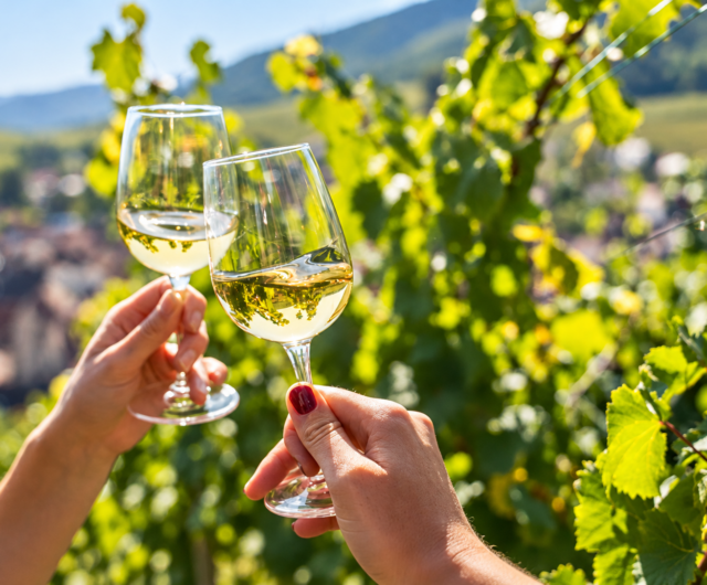 229010243-vignobles-en-scene-alsace-univers-et-accords-1-800×533-1