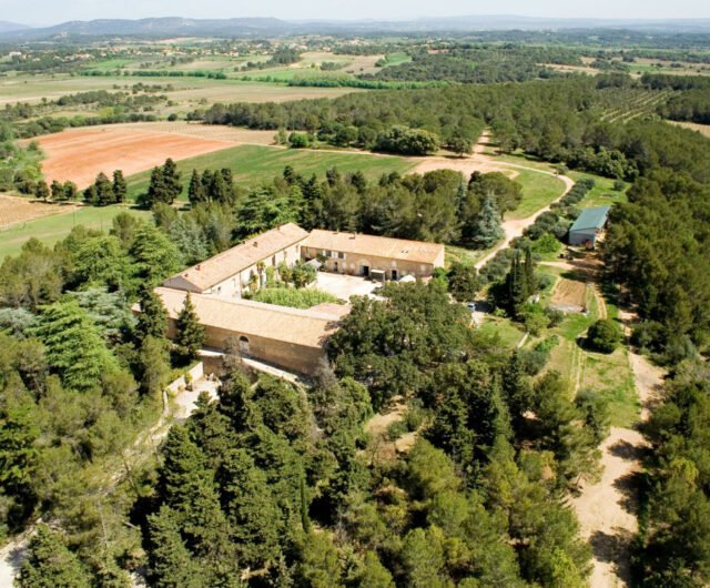 Arbousier découverte