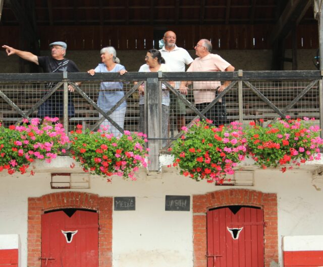 Balade 4L Ecarteurs Saubolle Marciac ©CSO (10) (3)
