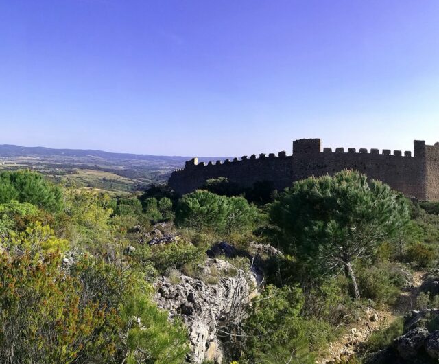 Castellas-EXCLUSIF-ADT34—David-Genestal2